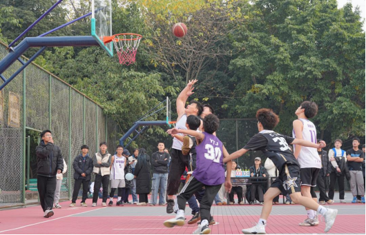 包含精彩比赛视频回放：职业篮球赛事精彩瞬间的词条