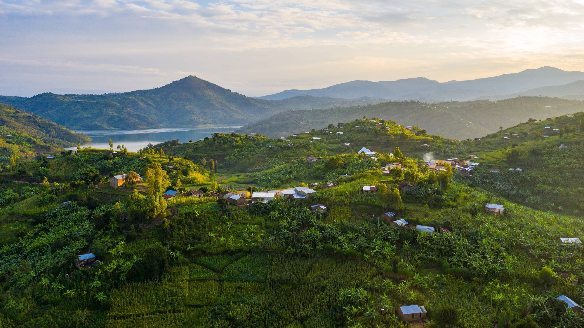 关于非洲各国积极发展新农业项目，带动经济增长的信息