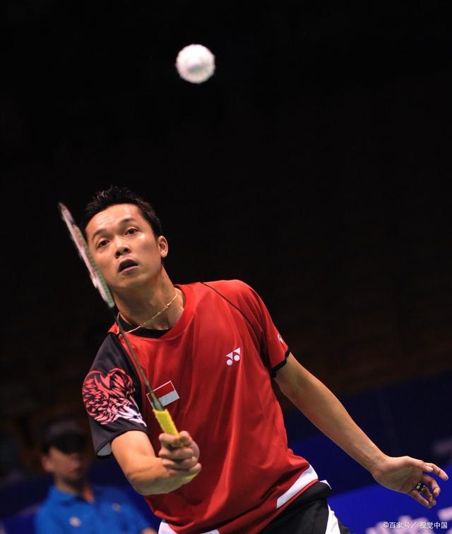 丹麦羽毛球队轻取马来西亚羽毛球队，陶菲克惊艳世界的简单介绍