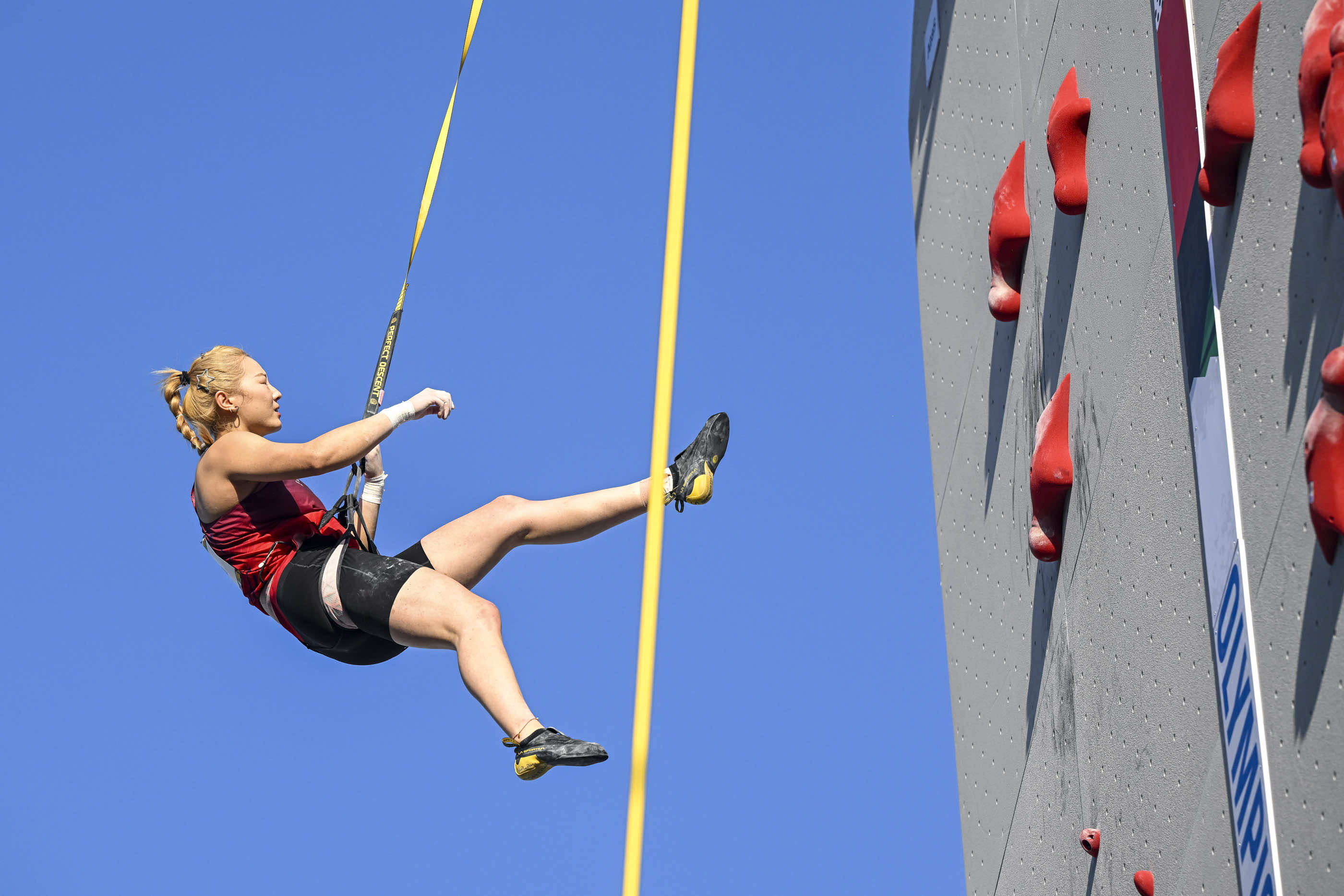 包含奥运会赛事精彩瞬间盘点，年度回顾震撼登场的词条