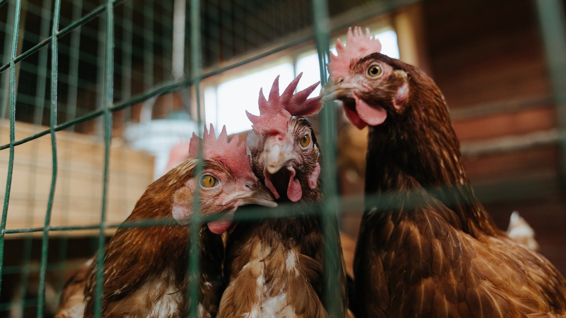 墨西哥对阵尤文,内马尔用实力证明自己的王者归来