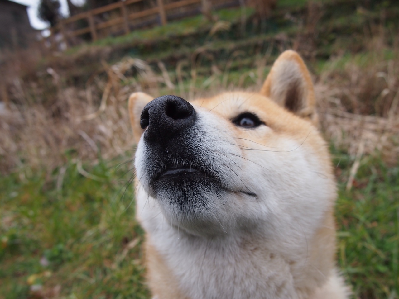 苏亚雷斯关键一击定乾坤，马赛客场制霸贝蒂斯彰显欧战雄风
