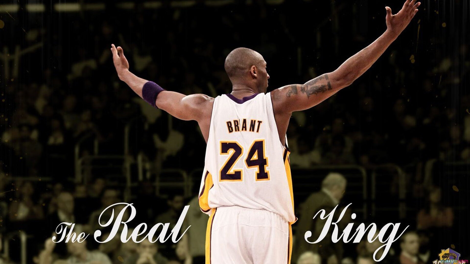 月光如火 镰刀如割,西决生死夜杜兰特谱写的绝境独白