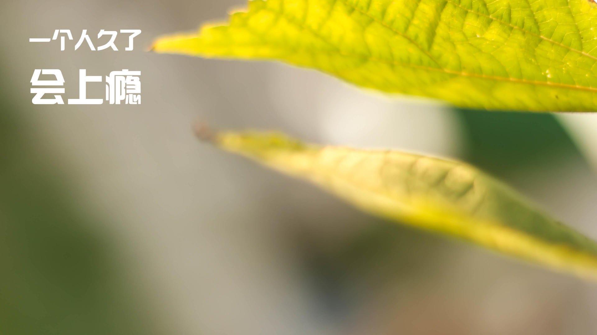 李刚仁末节爆发定乾坤,威尔士生死战力克韩国展韧性