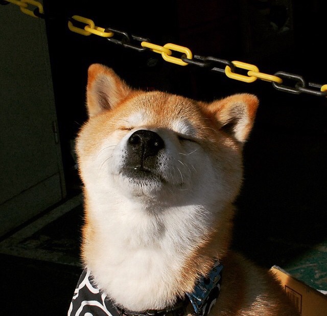 绝杀马刺的戈贝尔,骑士最锋利的矛与最沉默的盾