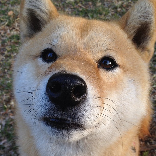 爵士铁血防守封锁热火,乔治化身关键先生定胜局