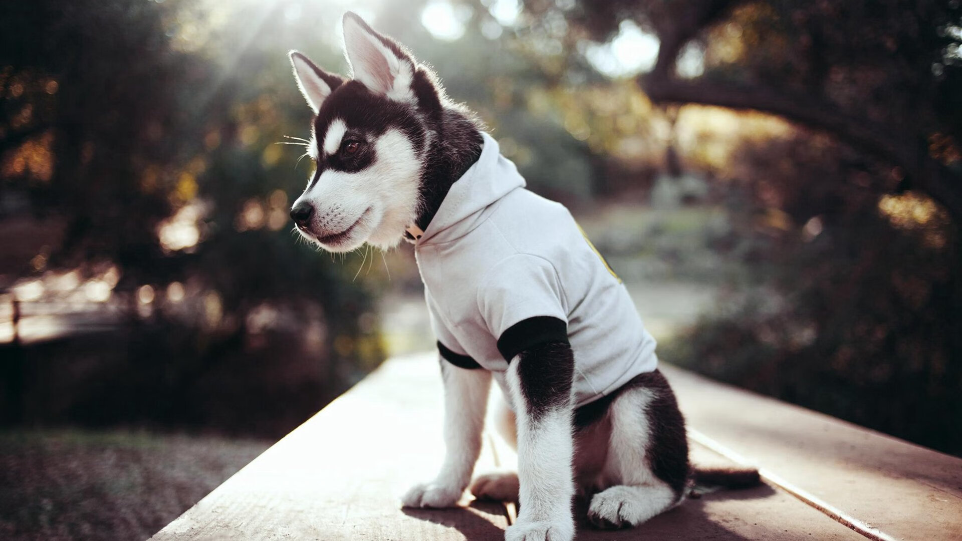 关键战突围芬兰,巴斯托尼完成自我救赎