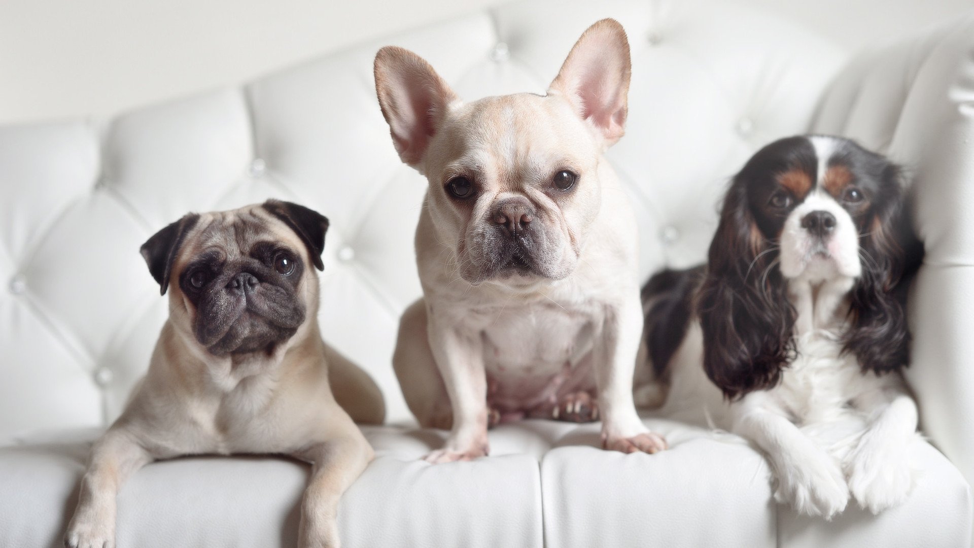 双星闪耀夜,76人加时鏖战力克骑士,克莱狂暴演出创生涯纪录