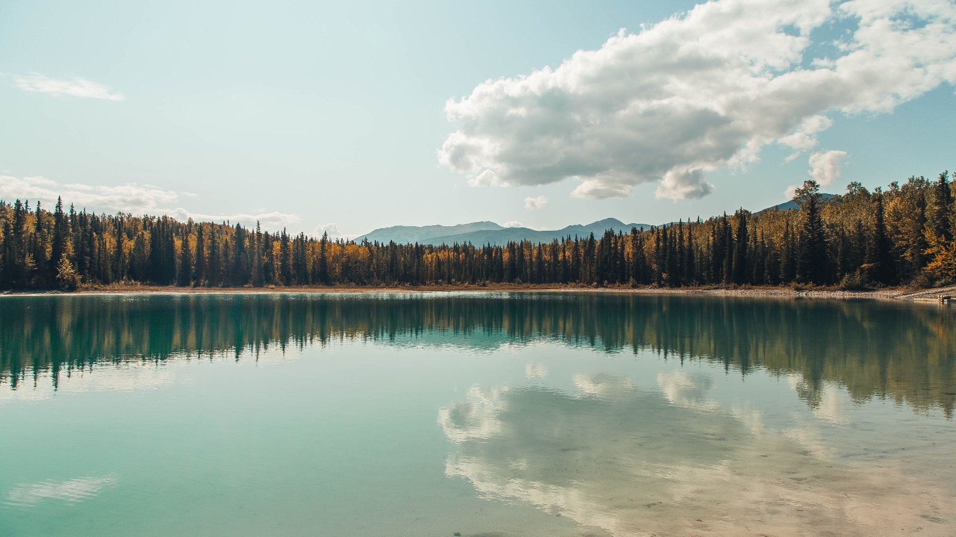 北欧风暴席卷南美，丹麦窒息式战术全面压制，罗德里戈如手术刀肢解哥伦比亚防线