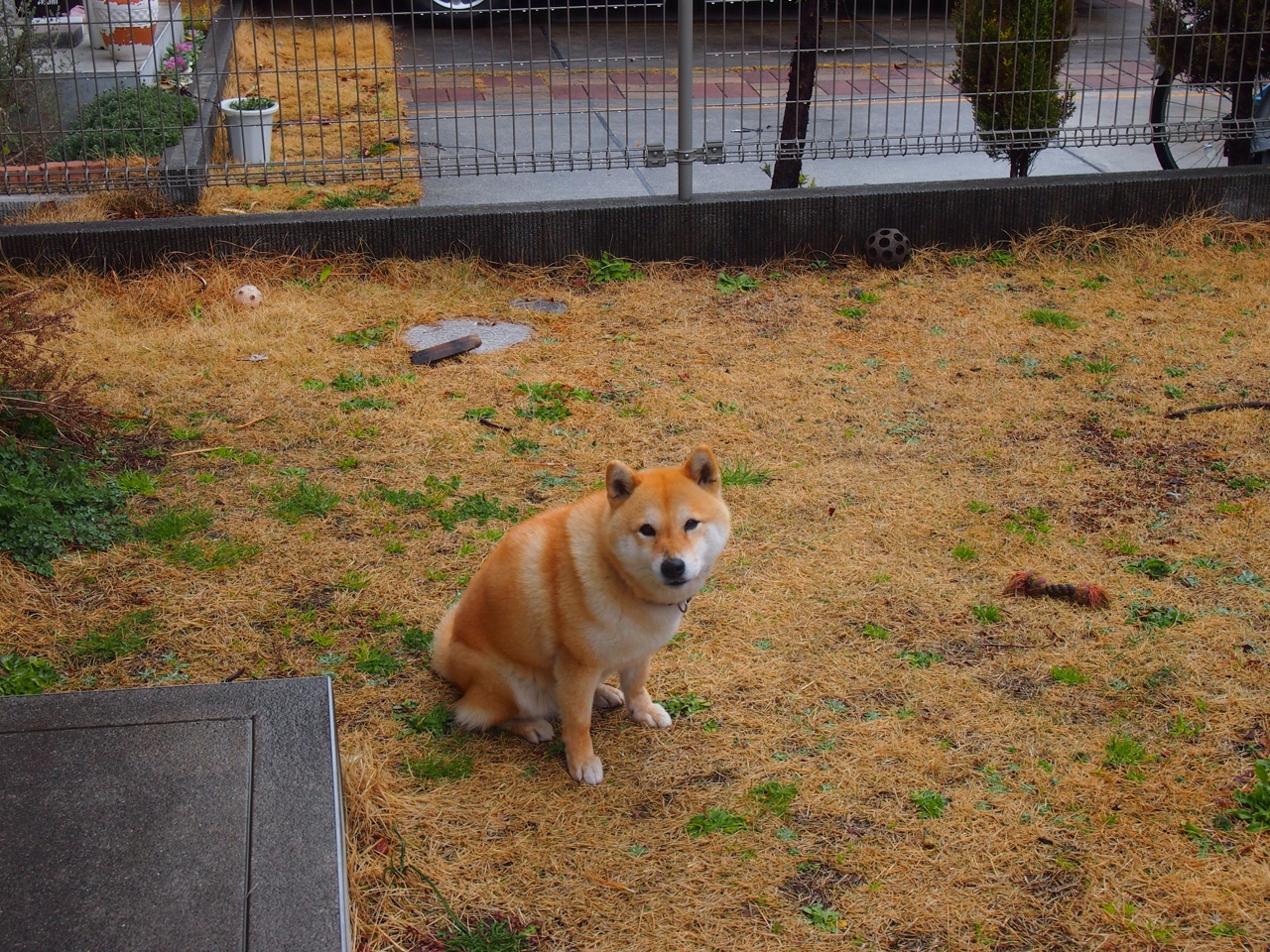 东瀛风暴席卷法兰西，黄喜灿英超争冠战扬威，亚洲足球开启新时代