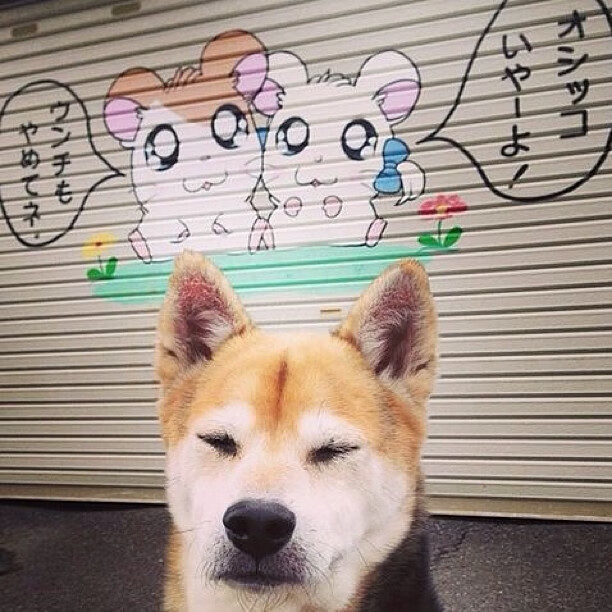 曼城制霸瑞典!阿克数据全面爆炸,他是三冠王最稳的定海神针