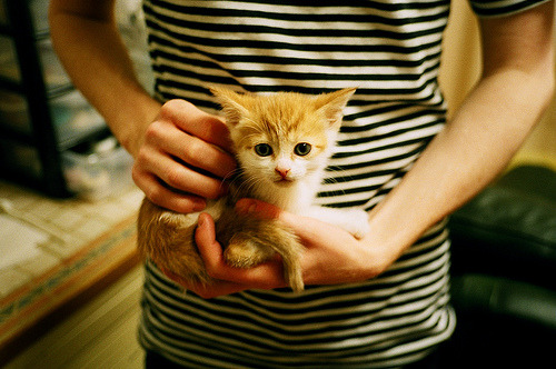 绿茵场上的战略家,皮克一肩扛起澳大利亚对阵尼斯的战术风云