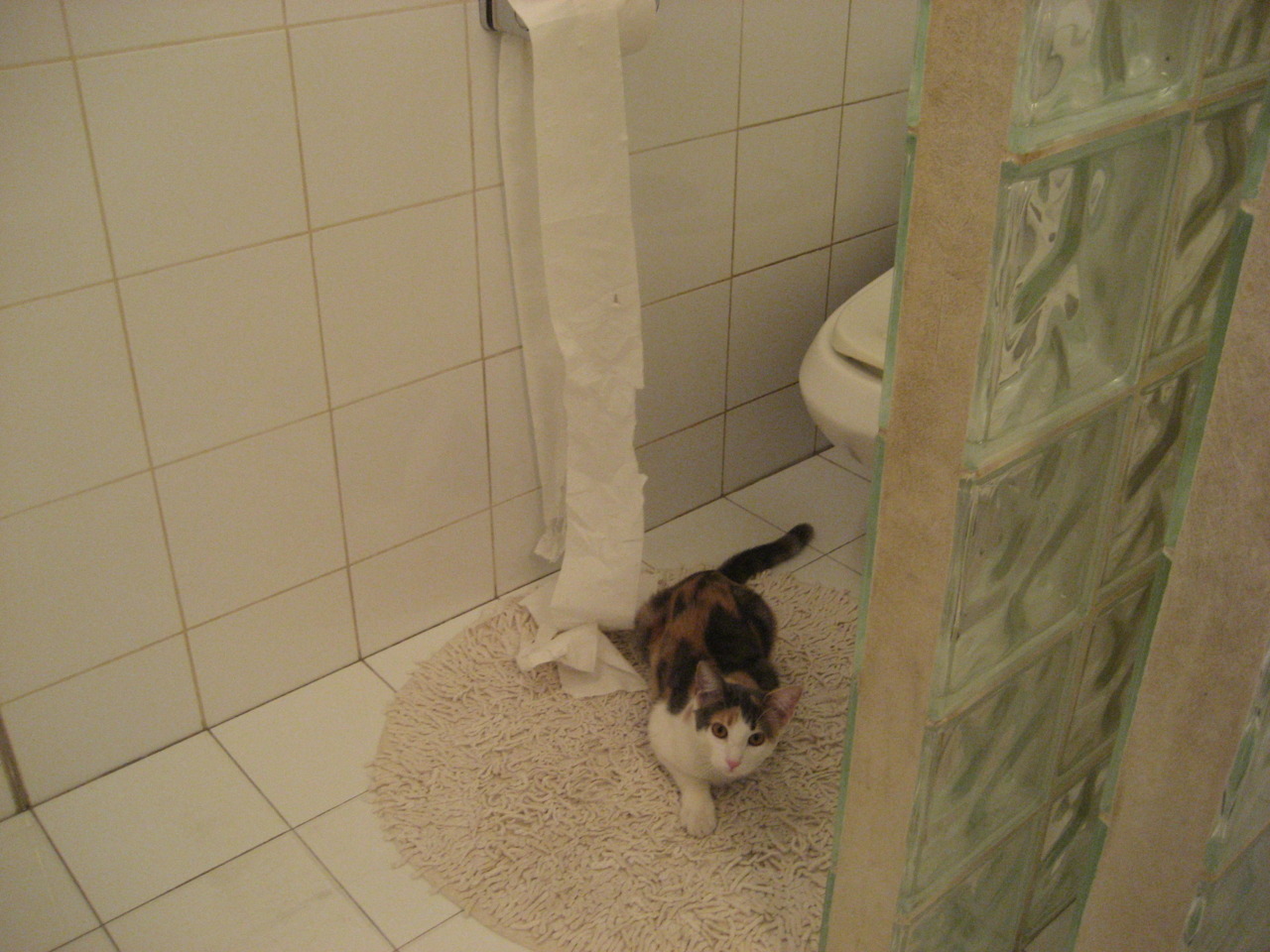 双重国籍的神奇逆转，厄德高如何成为喀麦隆的白色闪电