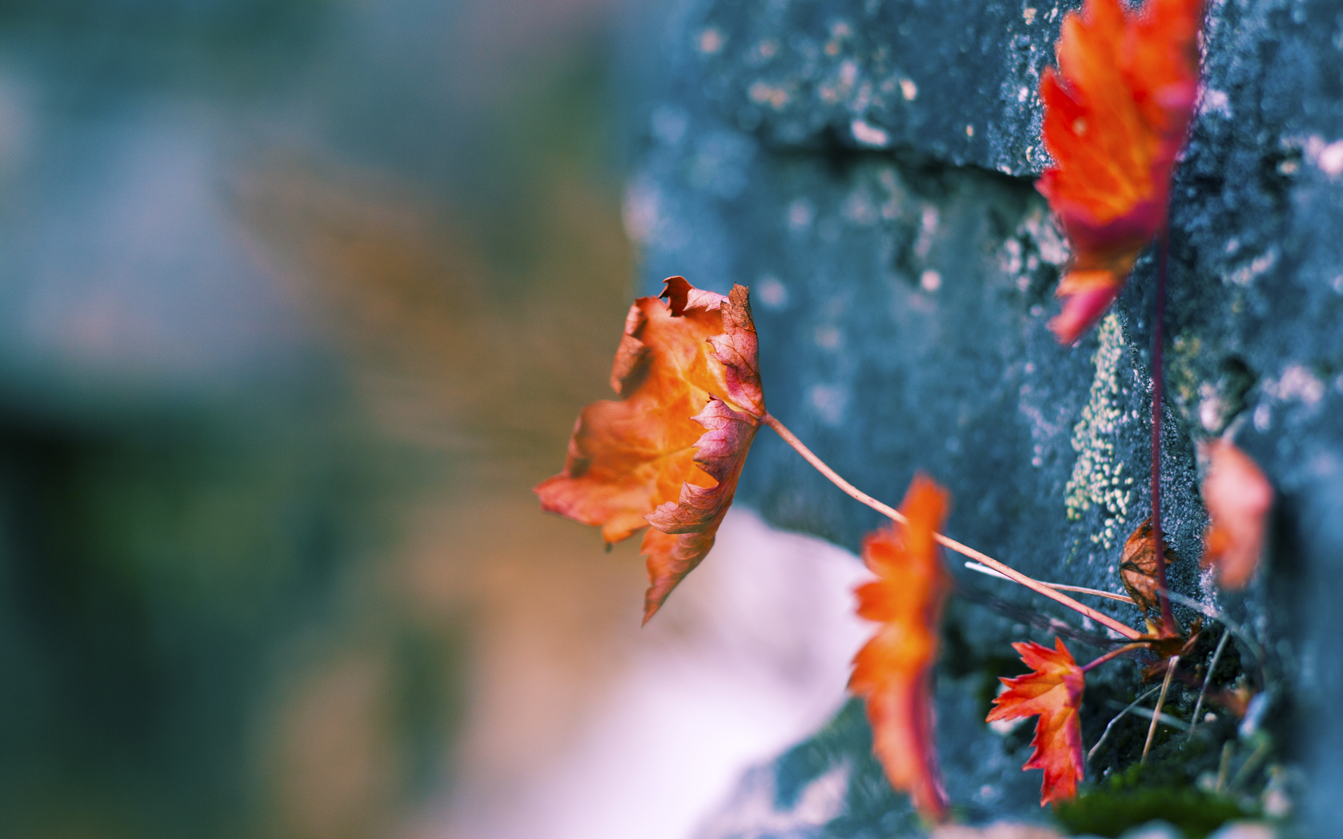 骑士时隔15年再进次轮！詹姆斯狂砍37+12+8打出无解统治，岁月难掩王者锋芒