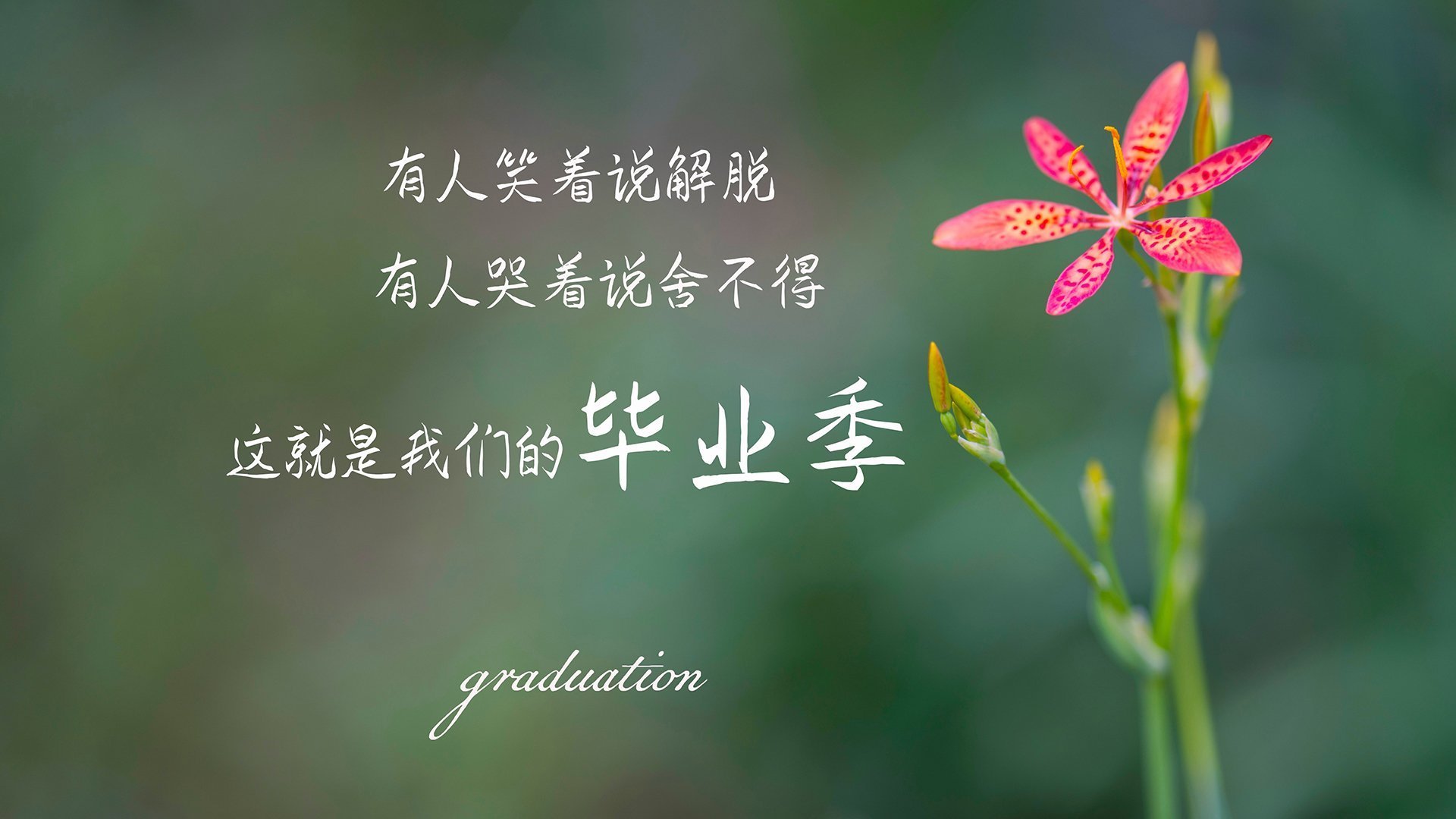 关键战夜，莫兰特用满分表现书写奥运门票