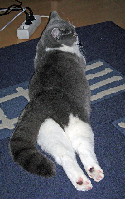 红色浪潮吞没红魔，迪亚斯末节神迹诠释何为真正的马竞精神