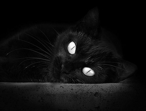 超越国界的魔法,当德布劳内降临挪威与南非之役